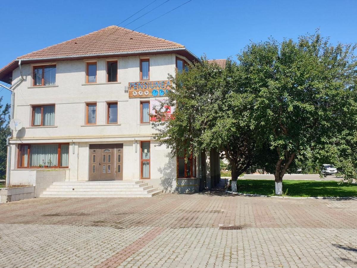 Pensiunea Odn Scheia Esterno foto